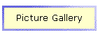 Picture Gallery
